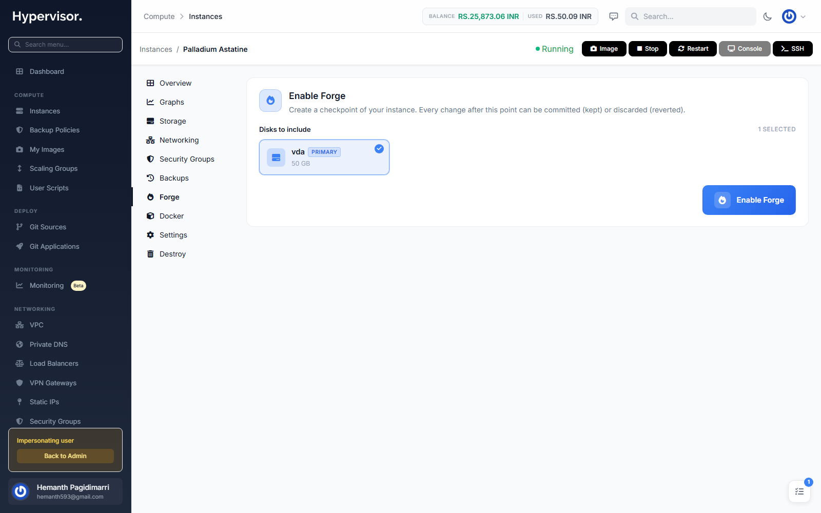 User instance Forge tab
